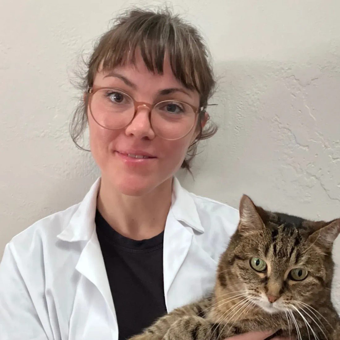 Female veterinarian holding a tabby cat in clinic setting
