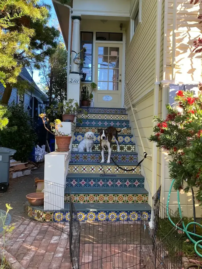 Two small dogs sitting on tiled steps of a house entrance